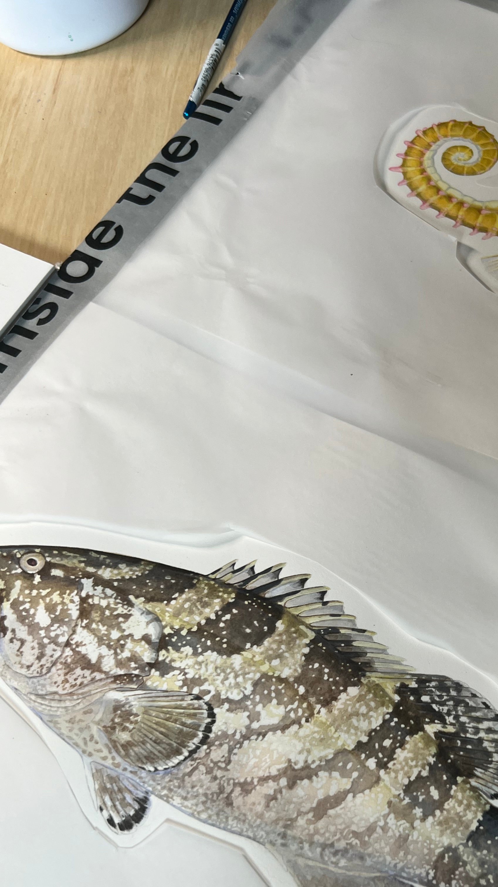 Commissioning Scientific Illustrations: Uniting Art and Science for Marine Species Identification