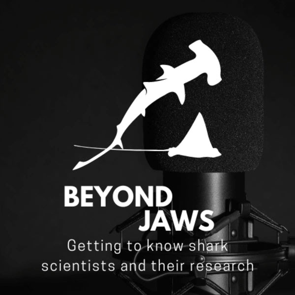 Interview on my journey from shark scientist to illustrator on Beyond Jaws podcast.