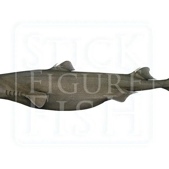 Deep Sea Oddities-Stick Figure Fish Illustration
