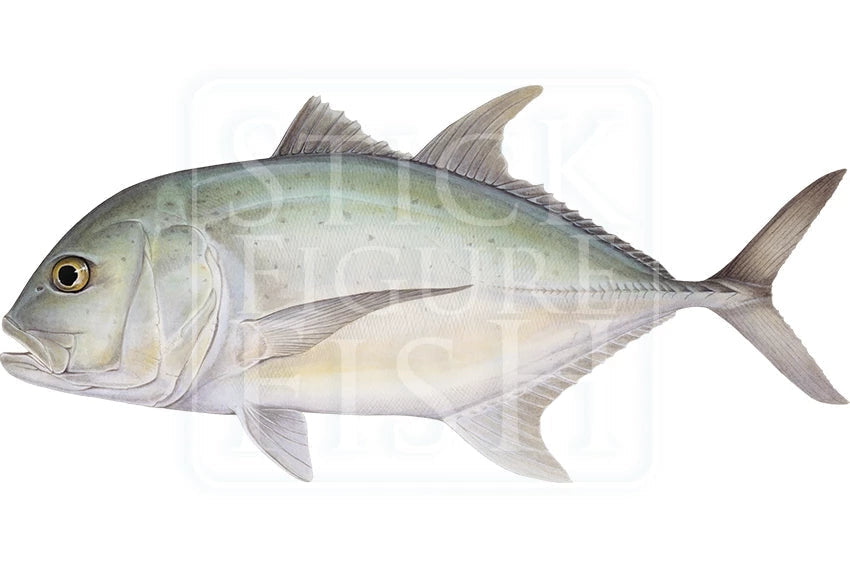 Giant Trevally-Stick Figure Fish Illustration