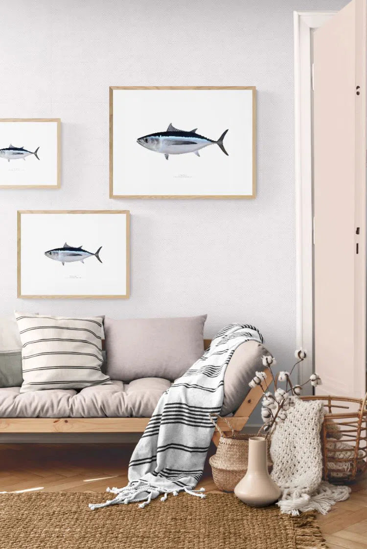 Albacore - Fine Art Print-Stick Figure Fish Illustration