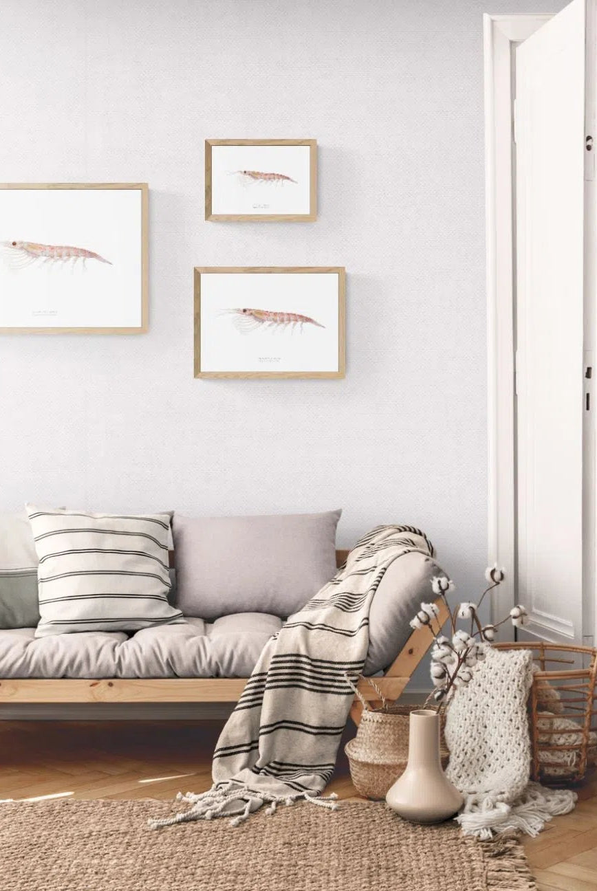 Antarctic Krill - Fine Art Print-Stick Figure Fish Illustration