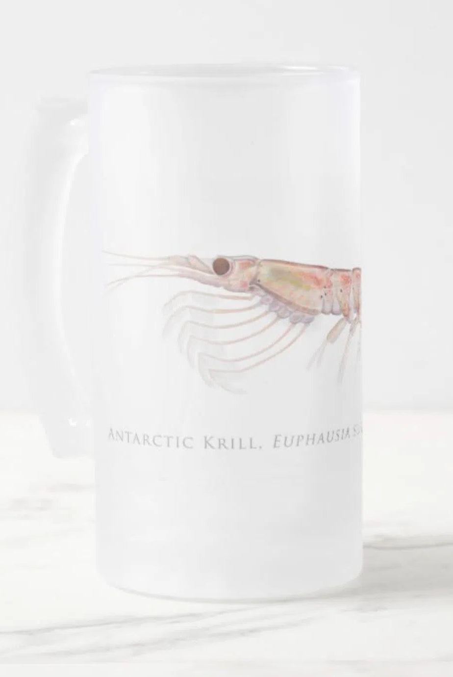 Antarctic Krill Stein featuring a detailed illustration by Dr. Lindsay Marshall