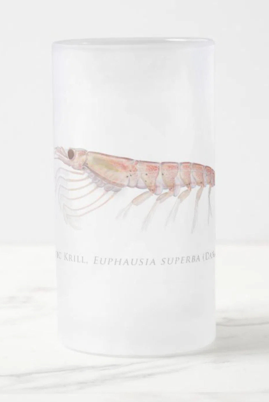 Antarctic Krill Stein featuring a detailed illustration by Dr. Lindsay Marshall