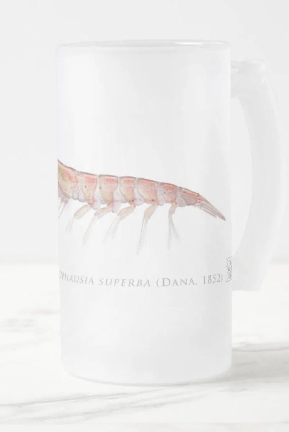 Antarctic Krill Stein featuring a detailed illustration by Dr. Lindsay Marshall
