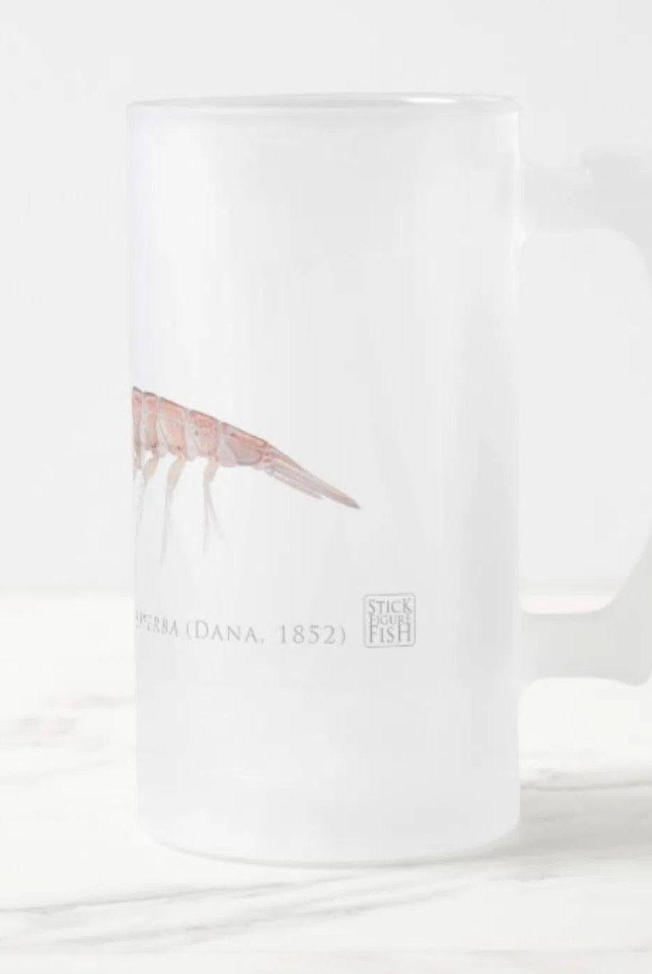 Antarctic Krill - Glass Stein-Stick Figure Fish Illustration