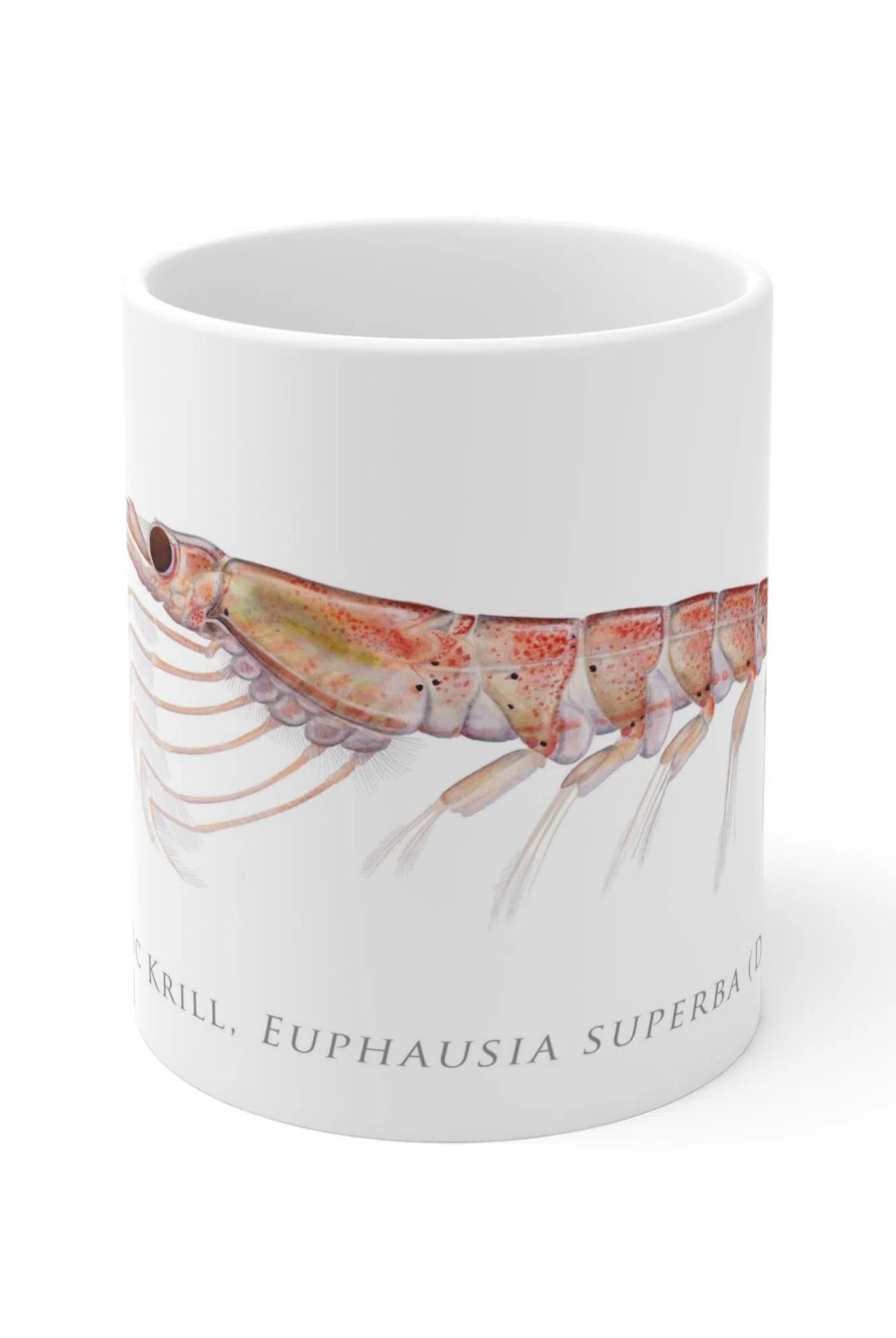 Antarctic Krill - Mug-Stick Figure Fish Illustration