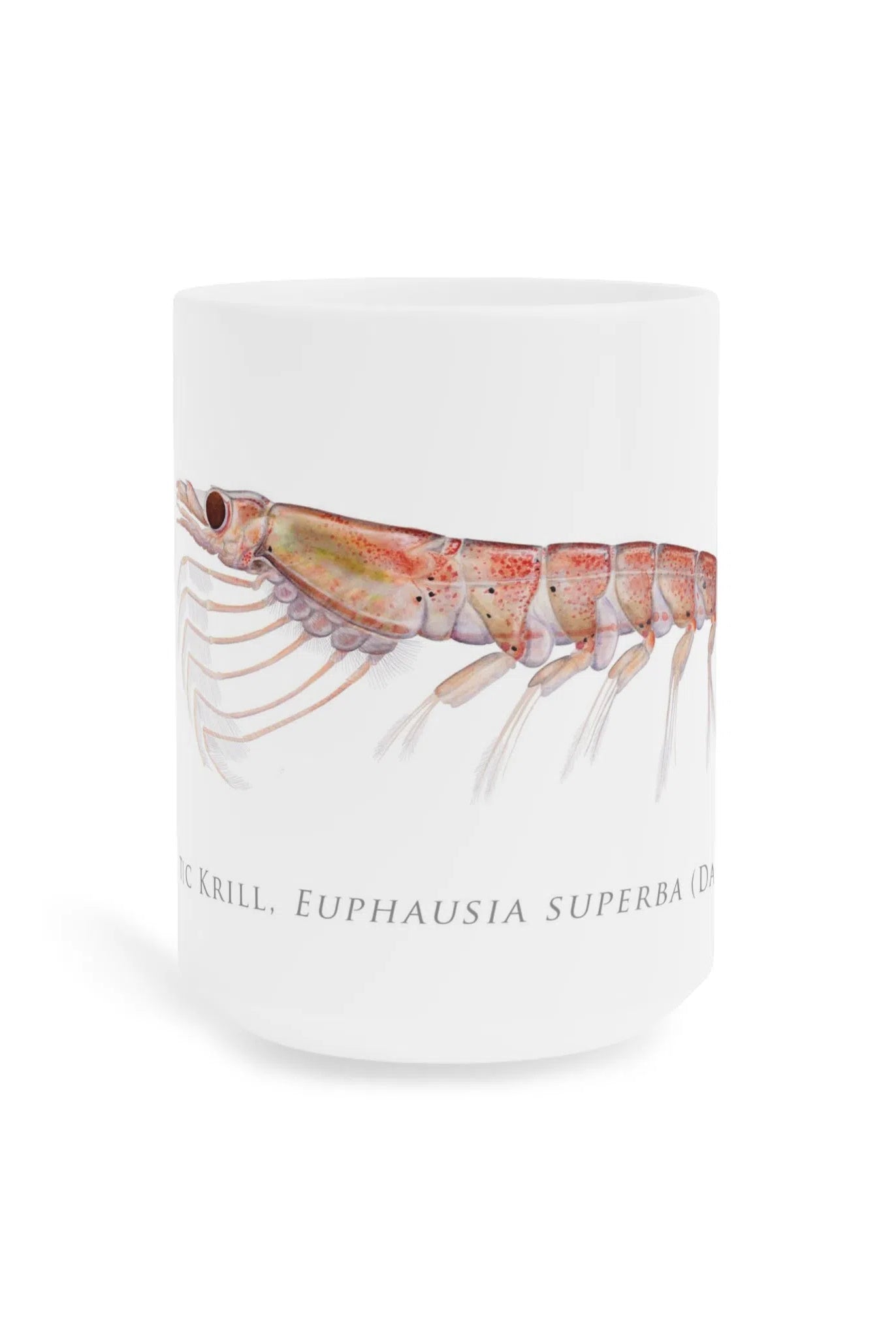 Antarctic Krill - Mug-Stick Figure Fish Illustration