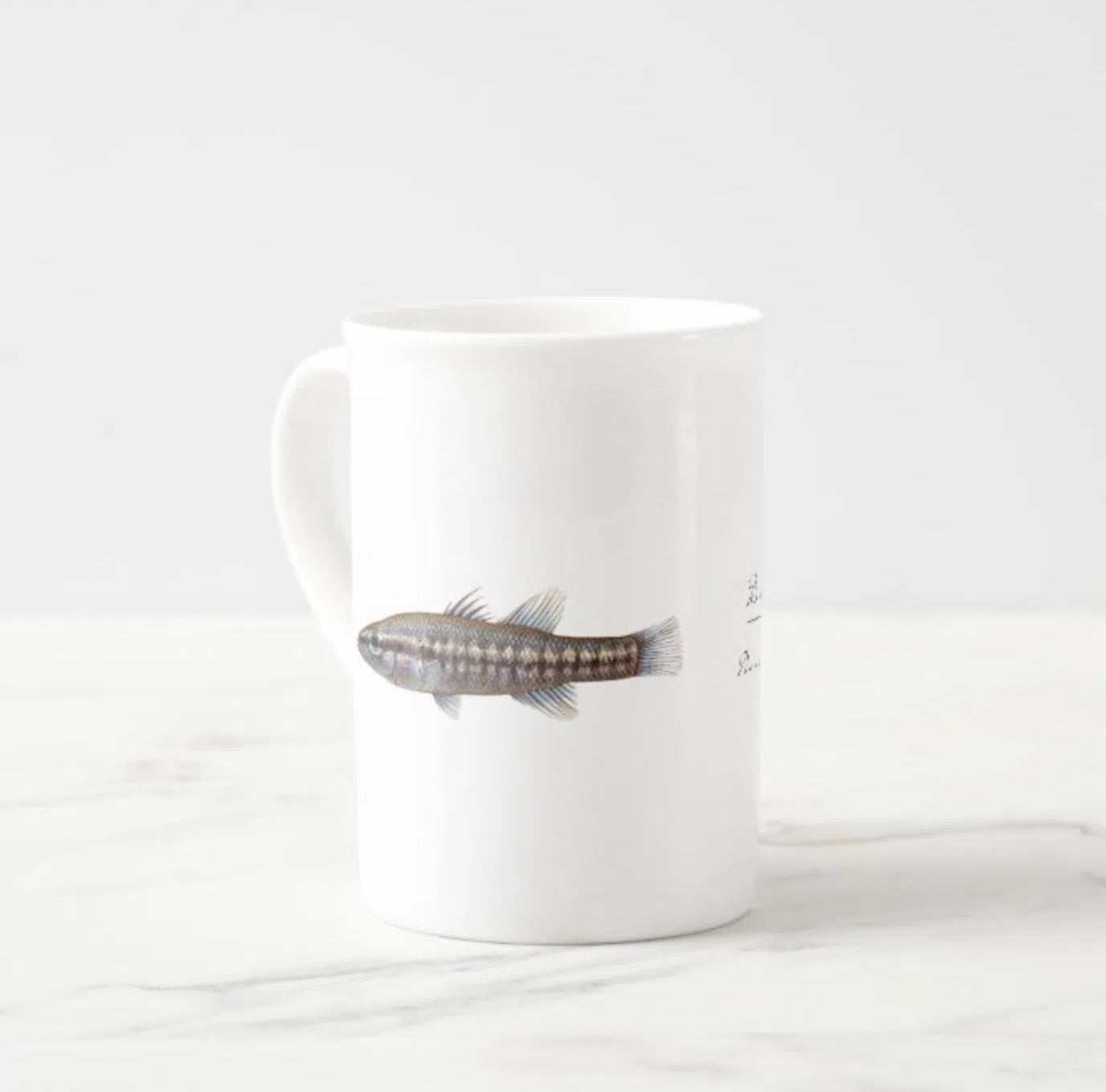 Balston's Pygmy Perch - Fine Bone China Mug-Stick Figure Fish Illustration