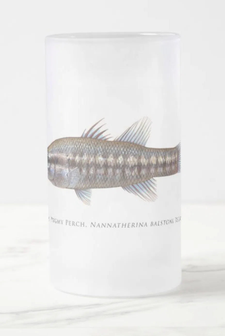 Balston's Pygmy Perch - Frosted Glass Stein-Stick Figure Fish Illustration