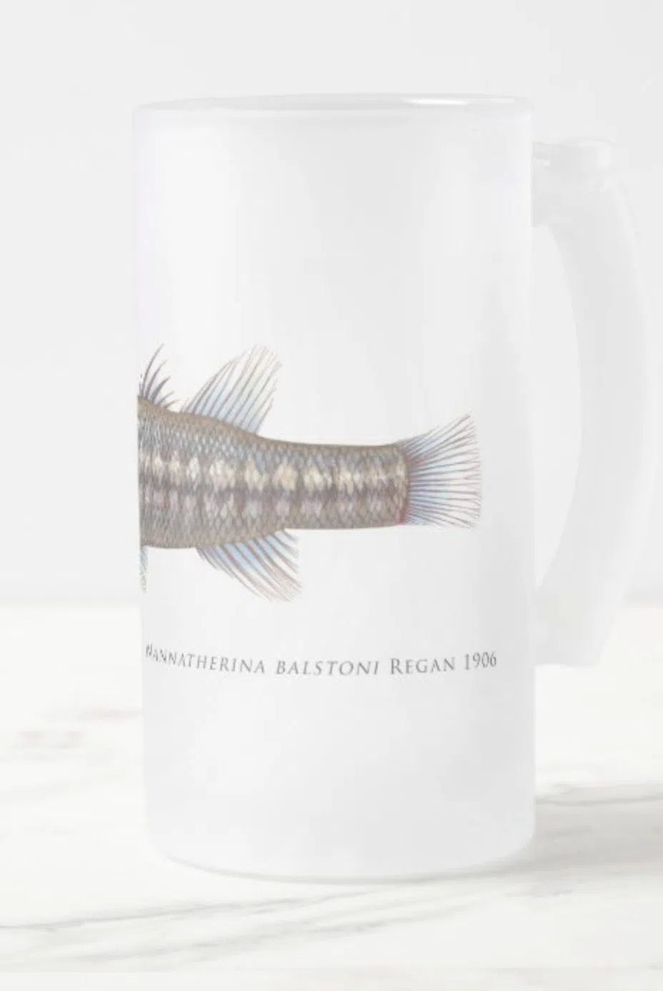 Balston's Pygmy Perch - Frosted Glass Stein-Stick Figure Fish Illustration