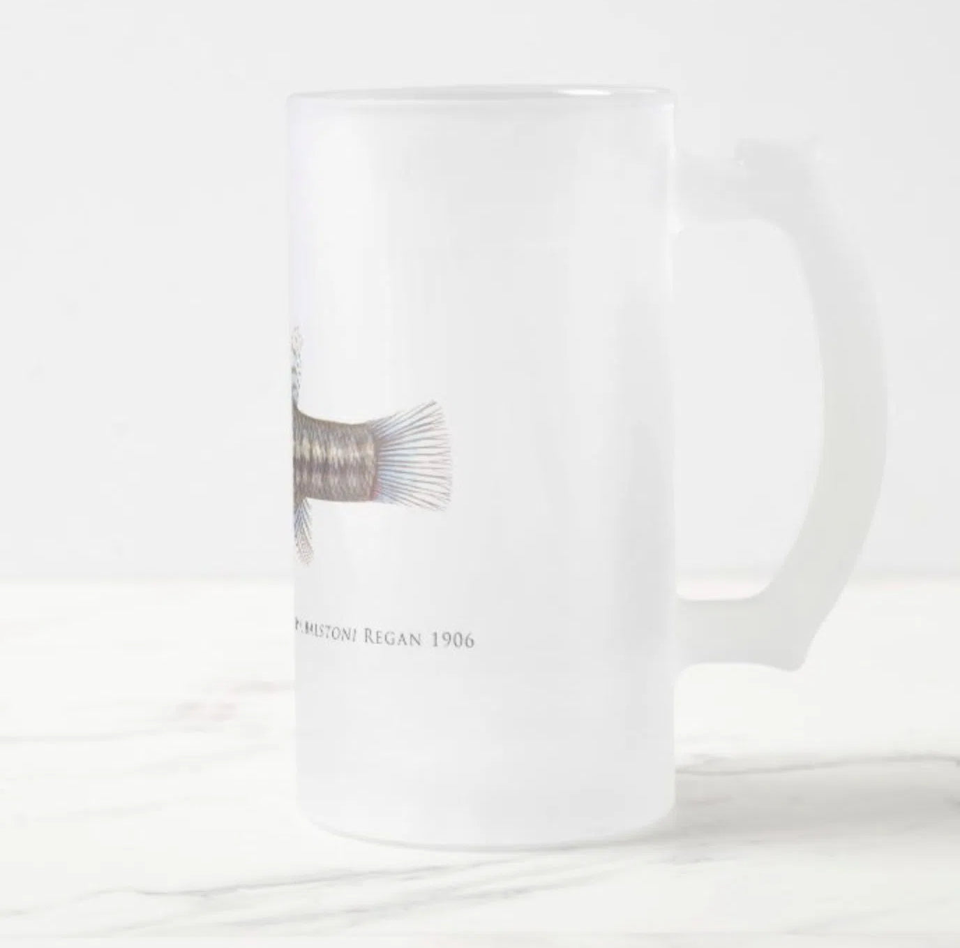 Balston's Pygmy Perch - Frosted Glass Stein-Stick Figure Fish Illustration