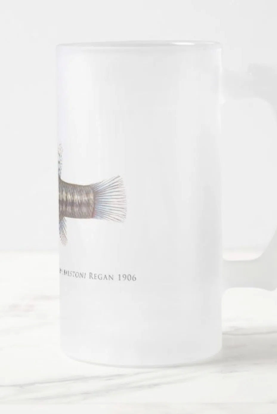 Balston's Pygmy Perch - Frosted Glass Stein-Stick Figure Fish Illustration