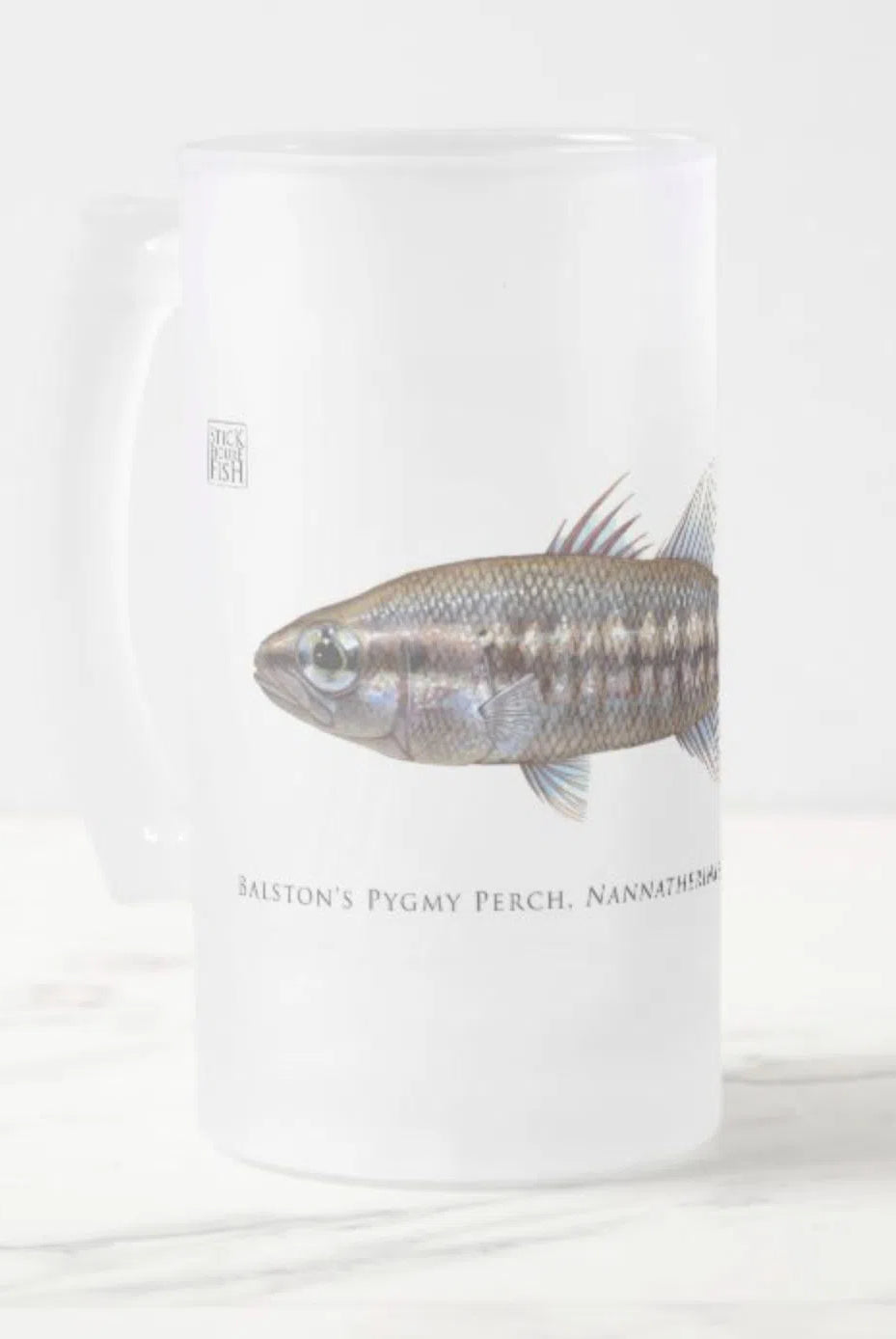 Balston's Pygmy Perch - Frosted Glass Stein-Stick Figure Fish Illustration
