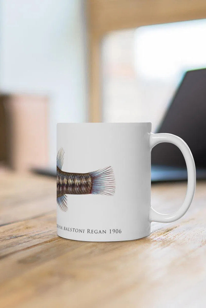 Balston's Pygmy Perch Mug-Stick Figure Fish Illustration
