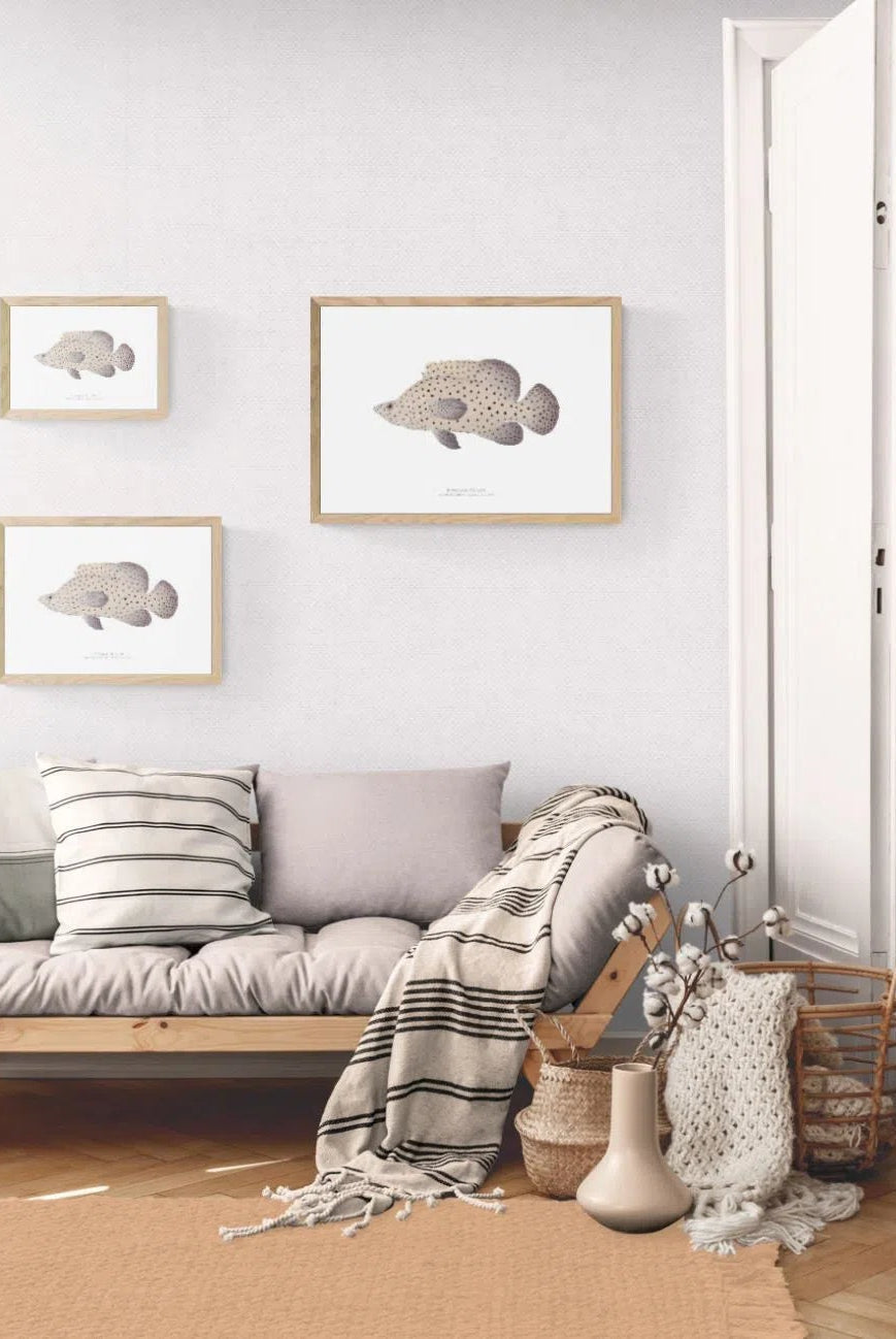 Barramundi Cod - Fine Art Print-Stick Figure Fish Illustration
