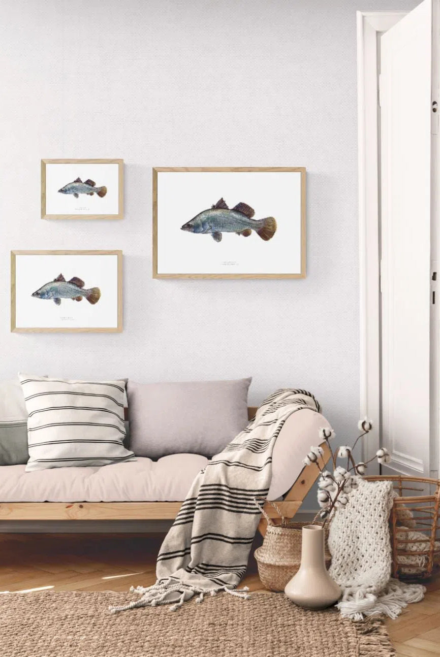 Barramundi, Lates calcarifer (Bloch 1790) - Fine Art Print-Stick Figure Fish Illustration