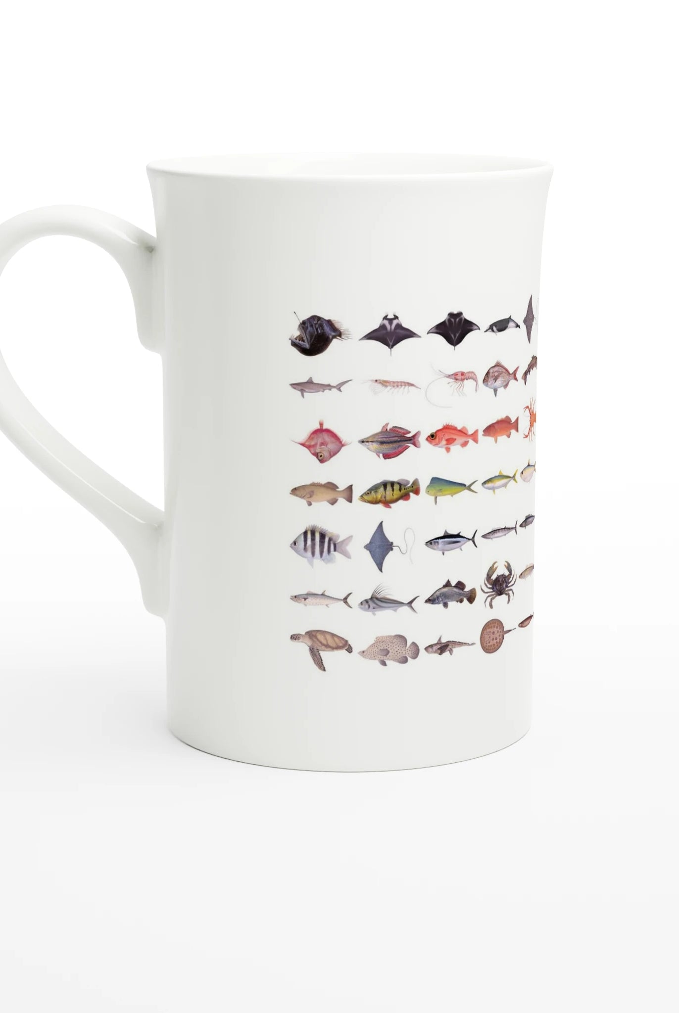 81c3e37e-cc8c-4574-8881-8c74fccd1deb