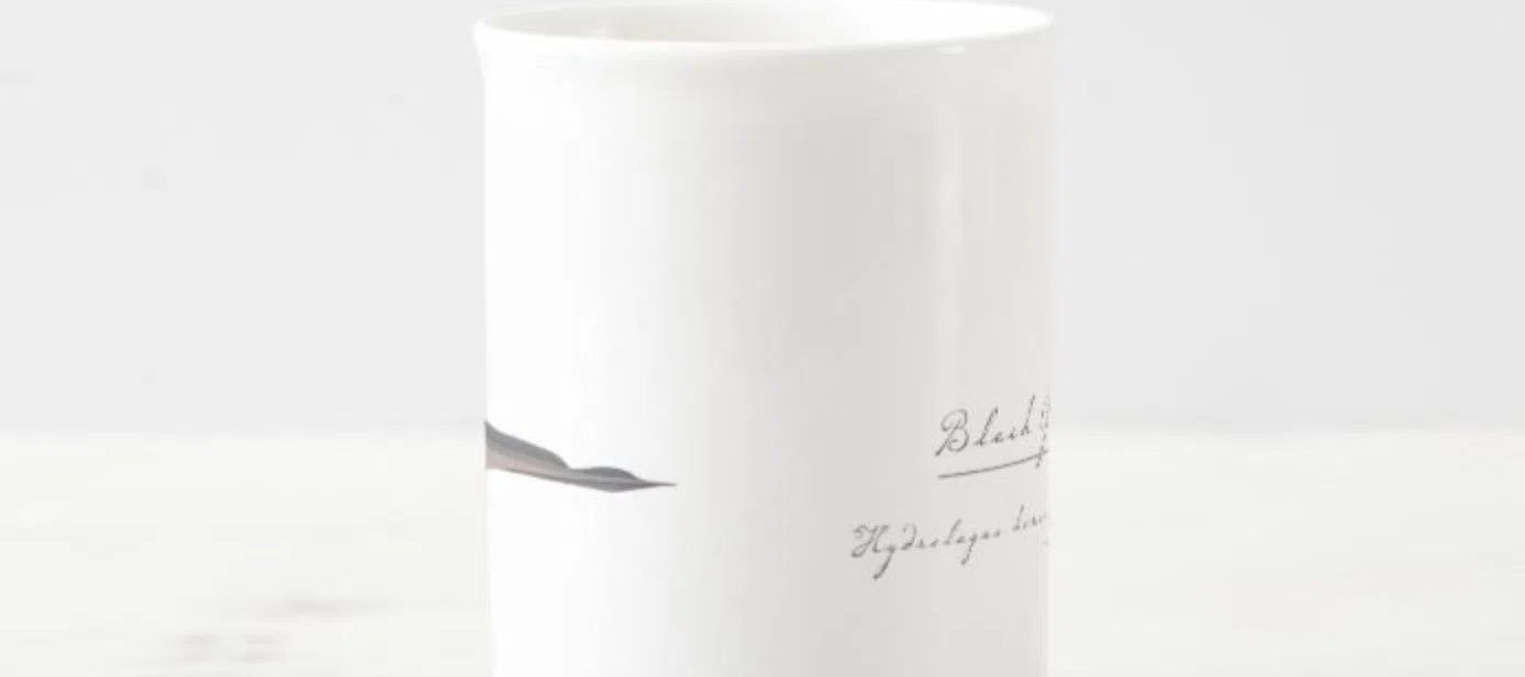 Black Ghostshark - Fine Bone China Mug-Stick Figure Fish Illustration
