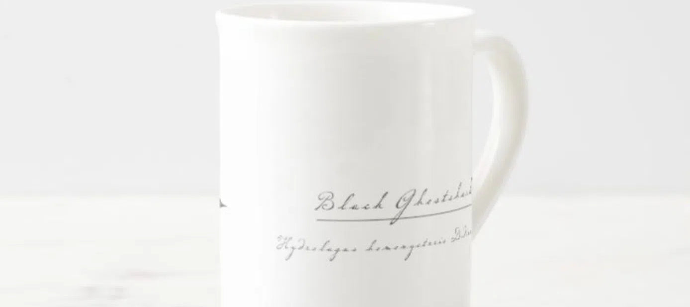 Black Ghostshark - Fine Bone China Mug-Stick Figure Fish Illustration