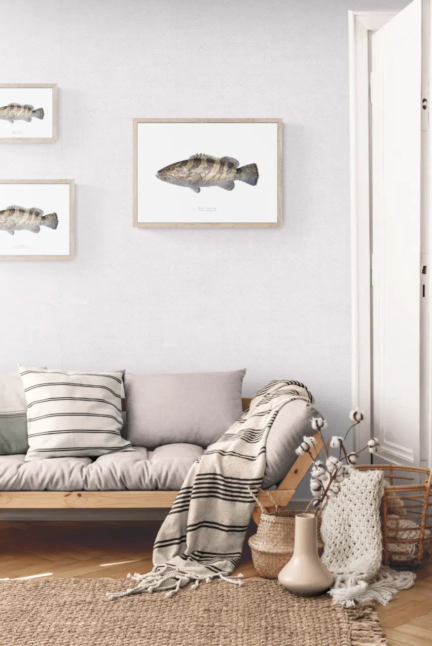 Black Rockcod - Fine Art Print-Stick Figure Fish Illustration