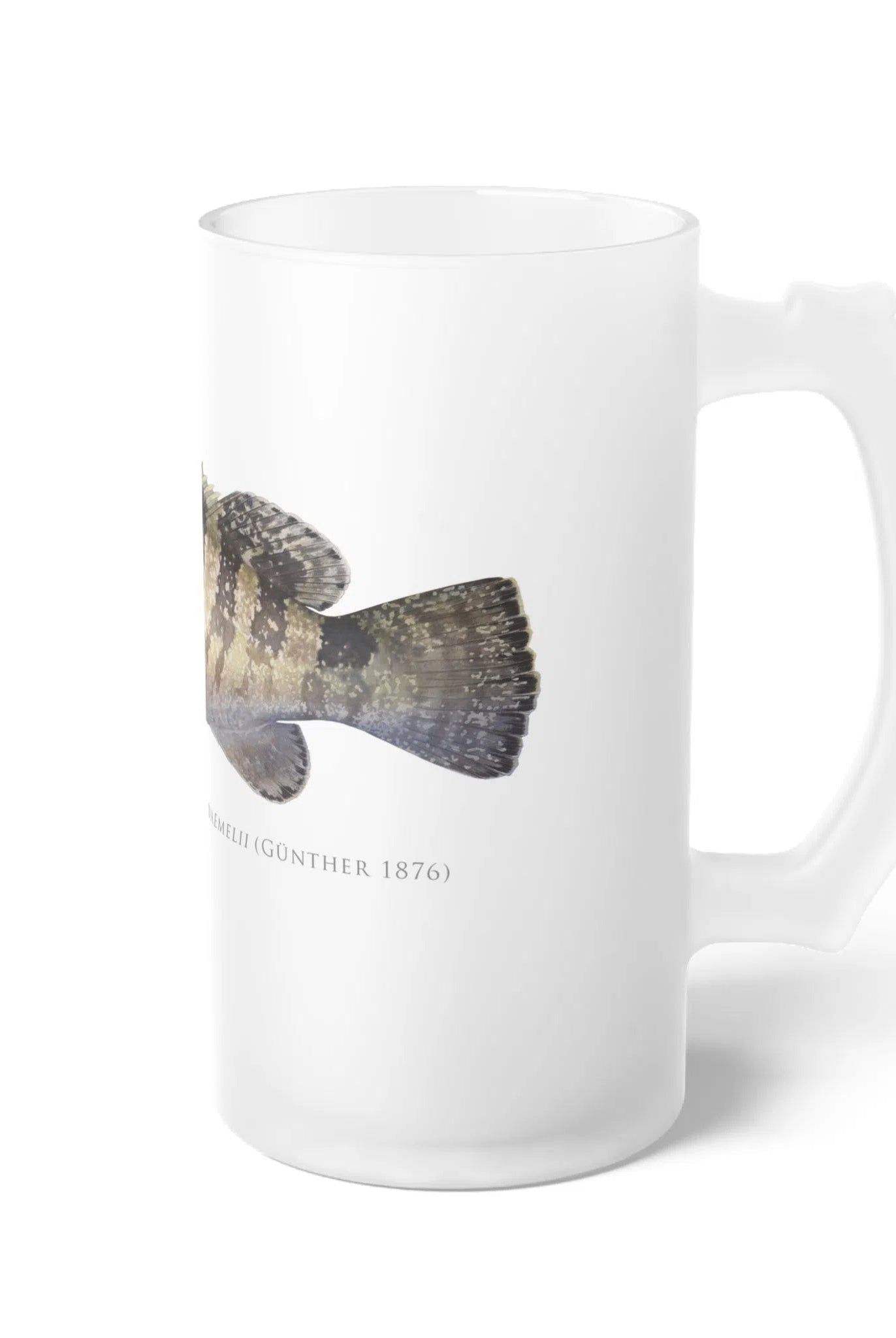 Black Rockcod - Frosted Glass Stein-Stick Figure Fish Illustration