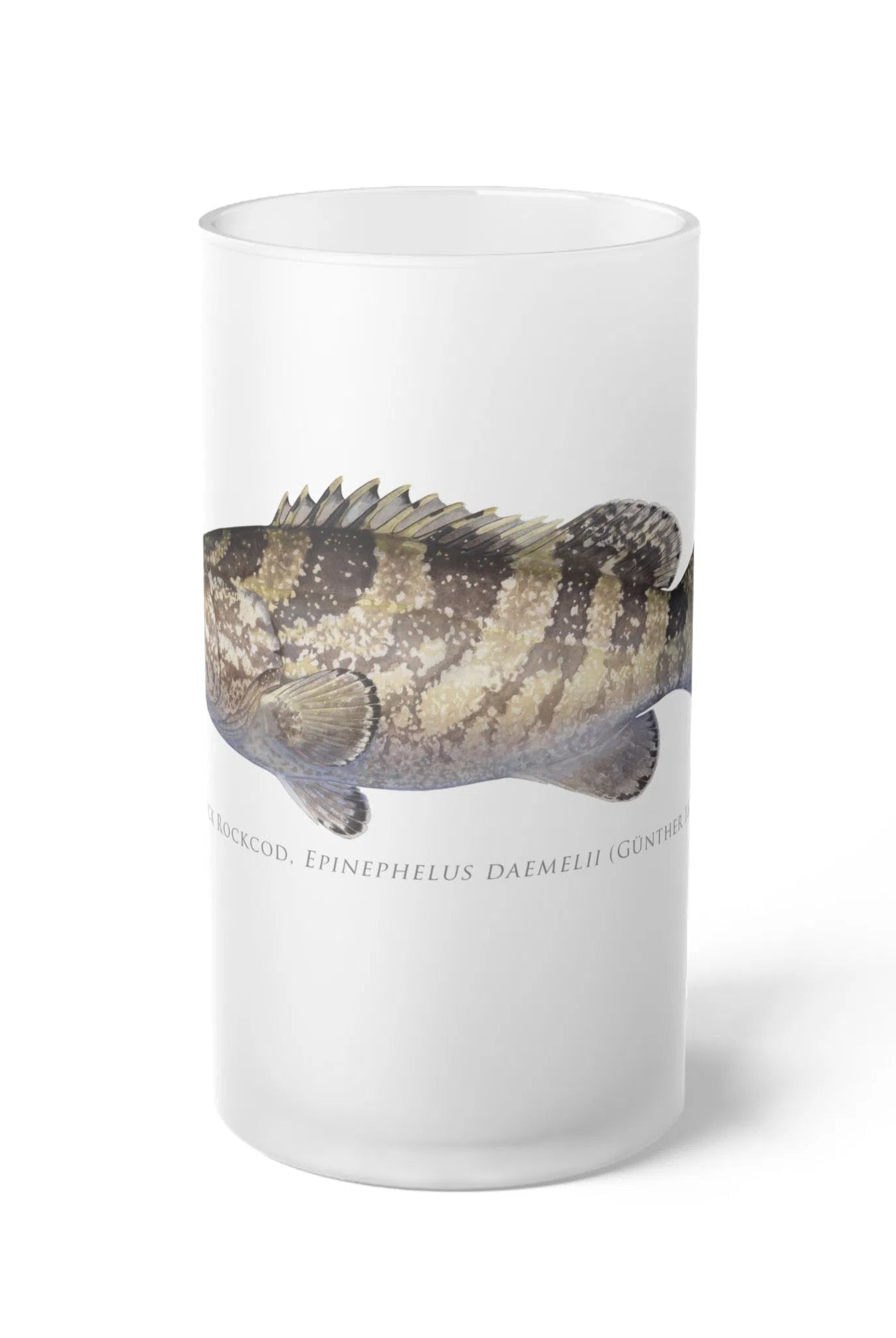 Black Rockcod - Frosted Glass Stein-Stick Figure Fish Illustration
