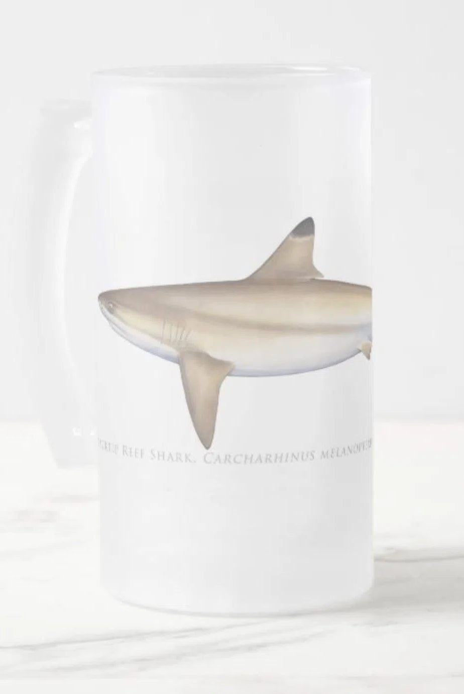 Blacktip Reef Shark - Frosted Glass Stein-Stick Figure Fish Illustration