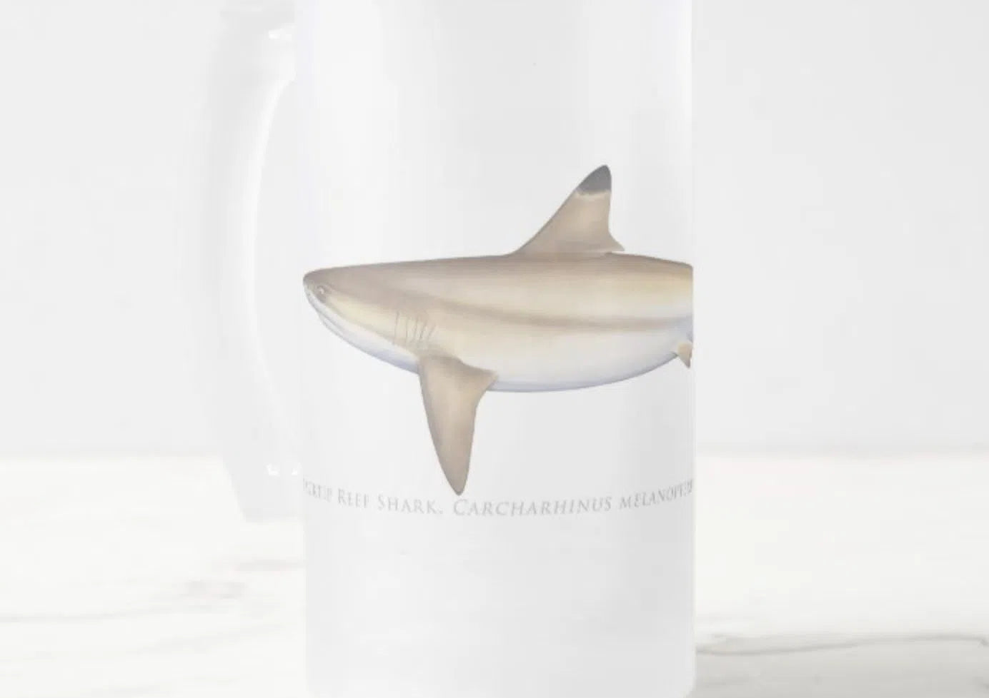 Blacktip Reef Shark - Frosted Glass Stein-Stick Figure Fish Illustration