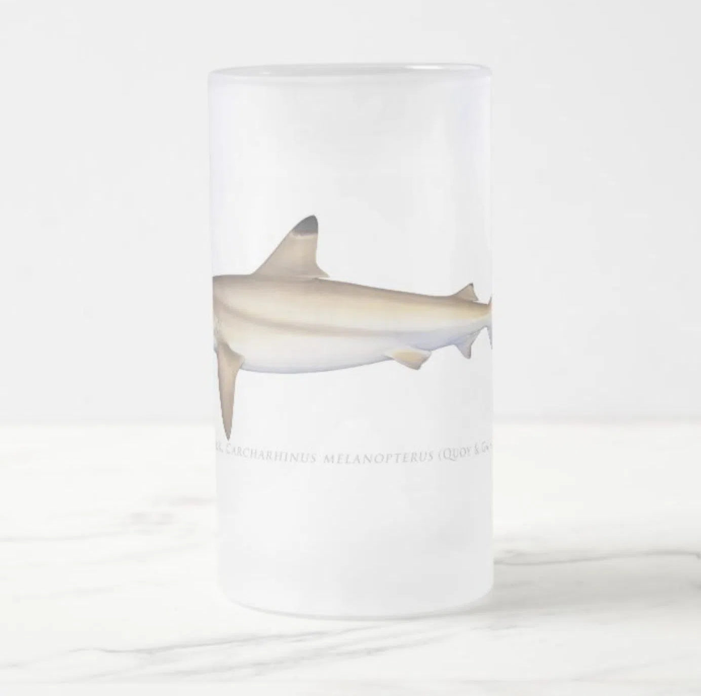 Blacktip Reef Shark - Frosted Glass Stein-Stick Figure Fish Illustration