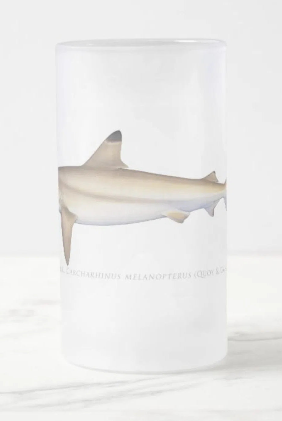 Blacktip Reef Shark - Frosted Glass Stein-Stick Figure Fish Illustration