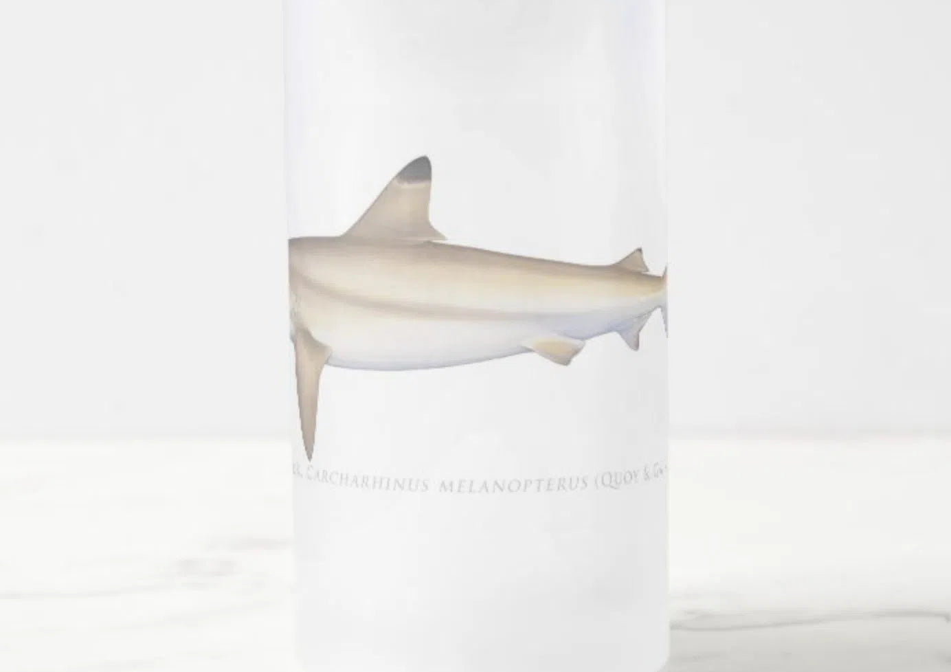 Blacktip Reef Shark - Frosted Glass Stein-Stick Figure Fish Illustration