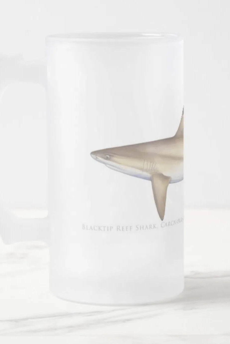 Blacktip Reef Shark - Frosted Glass Stein-Stick Figure Fish Illustration