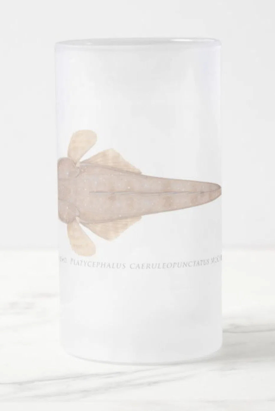 Bluespotted Flathead - Frosted Glass Stein-Stick Figure Fish Illustration