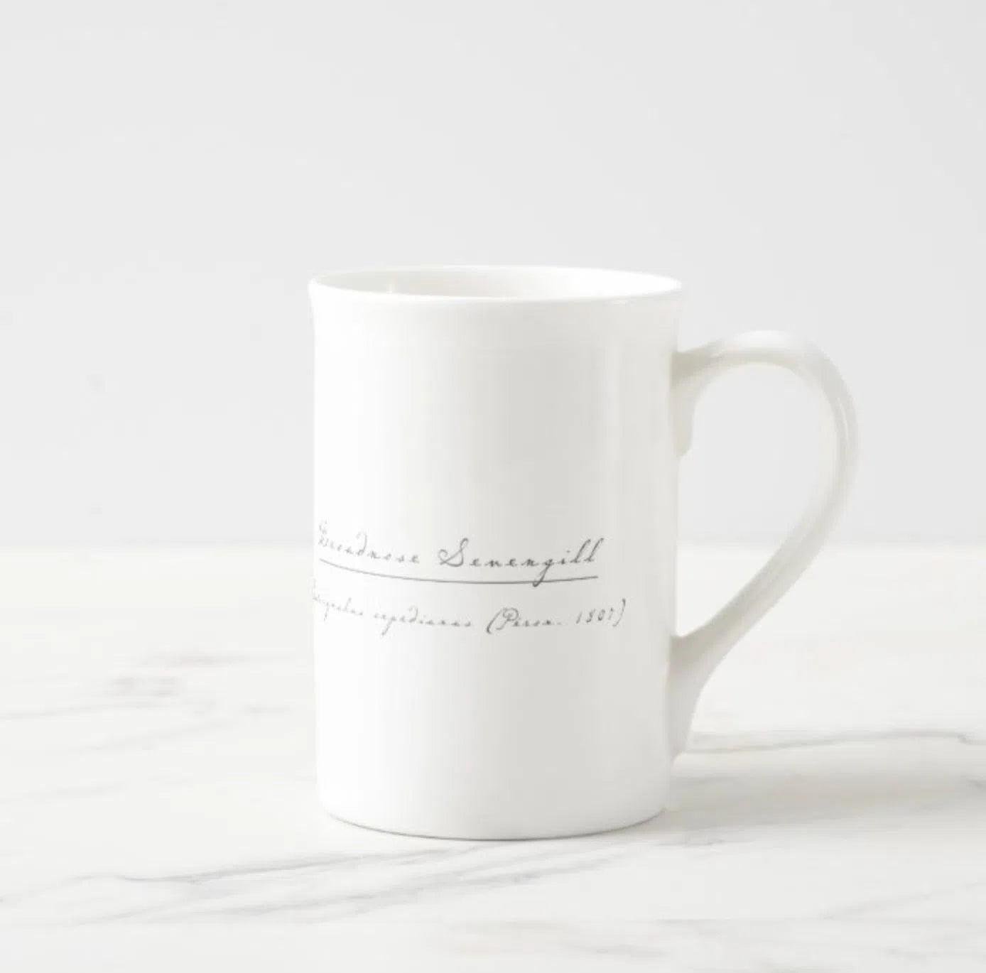 Broadnose Sevengill Shark - Fine Bone China Mug-Stick Figure Fish Illustration