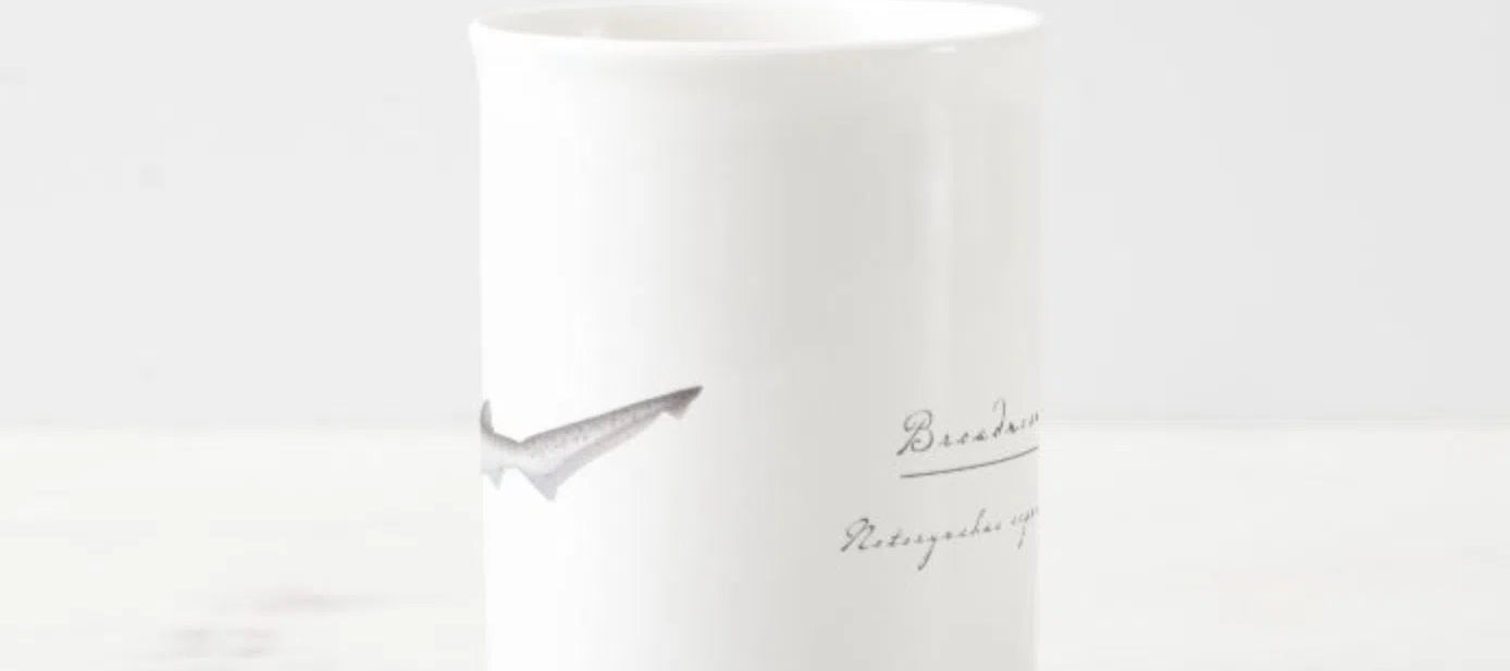 Broadnose Sevengill Shark - Fine Bone China Mug-Stick Figure Fish Illustration