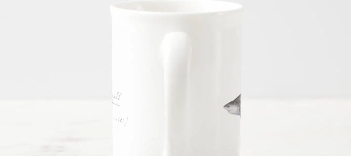 Broadnose Sevengill Shark - Fine Bone China Mug-Stick Figure Fish Illustration