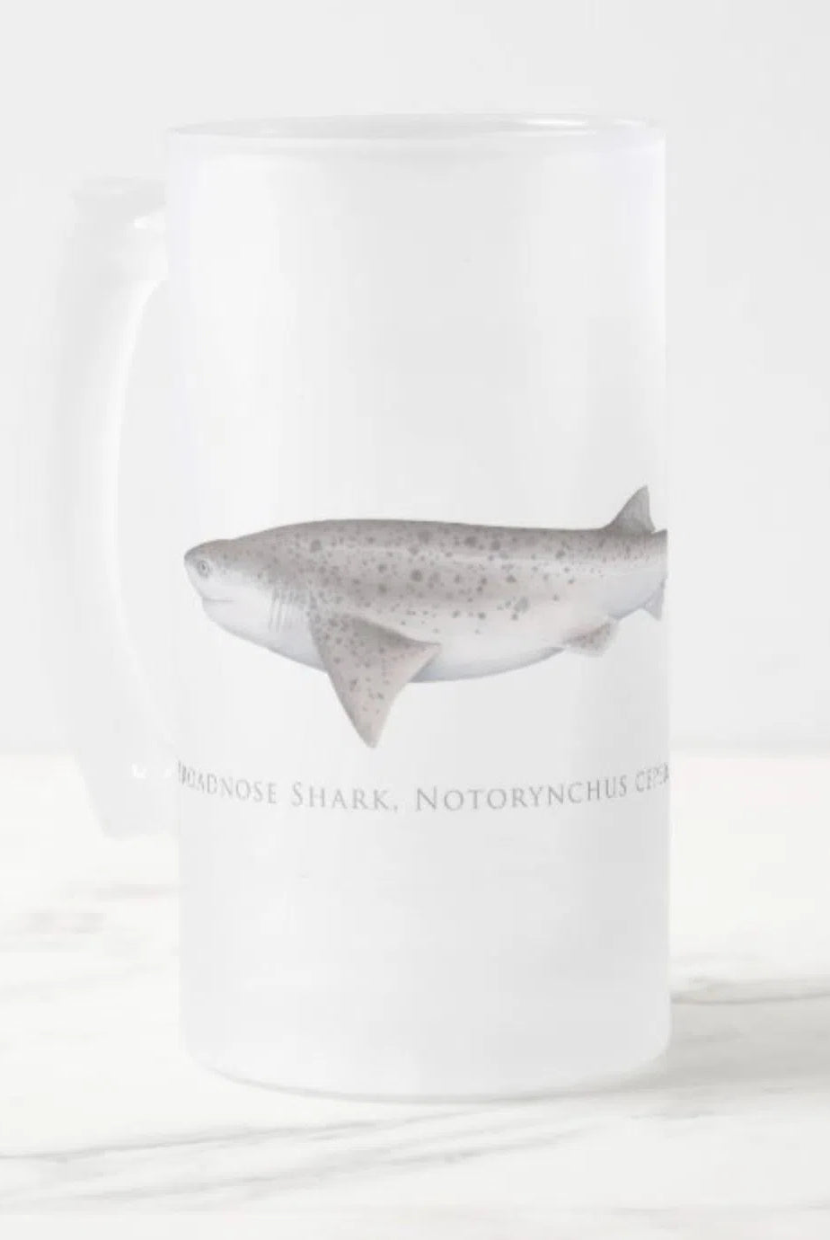 Broadnose Sevengill Shark - Frosted Glass Stein-Stick Figure Fish Illustration