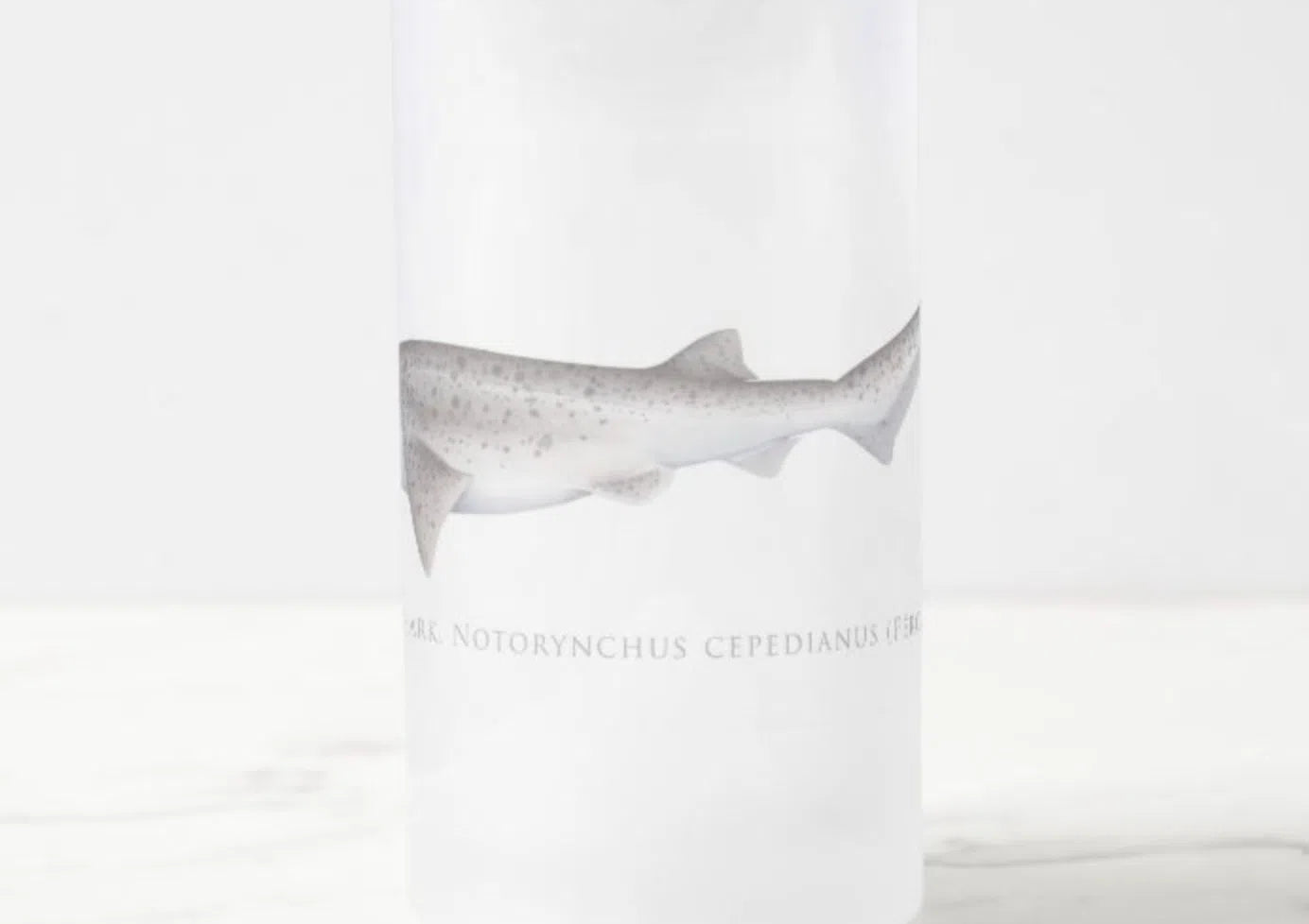 Broadnose Sevengill Shark - Frosted Glass Stein-Stick Figure Fish Illustration