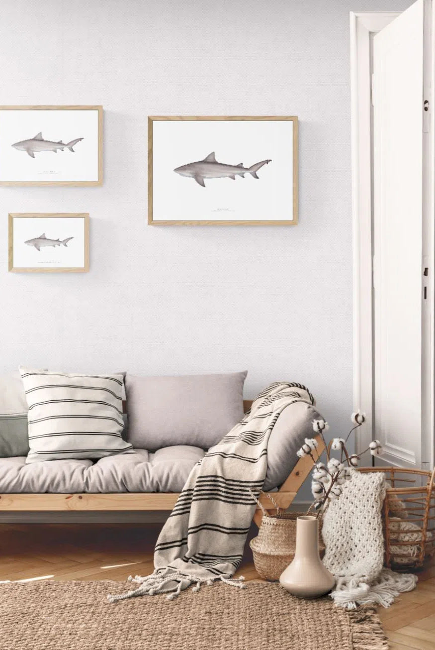 Bull Shark, Carcharhinus leucas (Müller & Henle 1839) - Fine Art Print-Stick Figure Fish Illustration