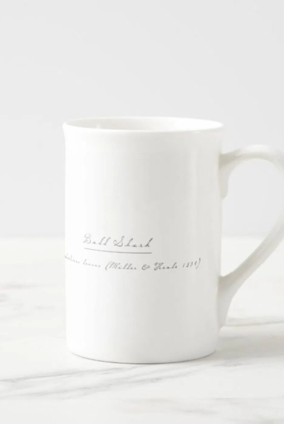 Bull Shark - Fine Bone China Mug-Stick Figure Fish Illustration