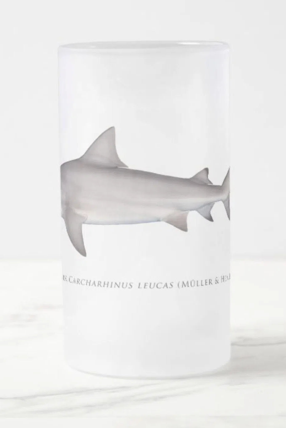 Bull Shark - Frosted Glass Stein-Stick Figure Fish Illustration