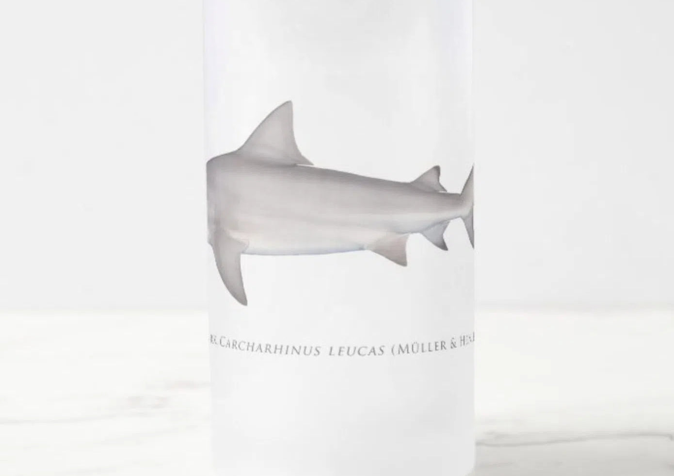 Bull Shark - Frosted Glass Stein-Stick Figure Fish Illustration