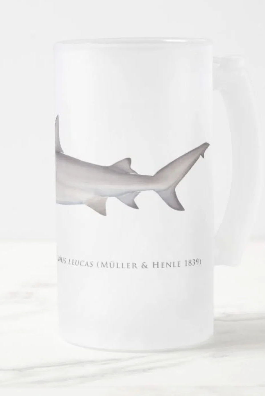 Bull Shark - Frosted Glass Stein-Stick Figure Fish Illustration