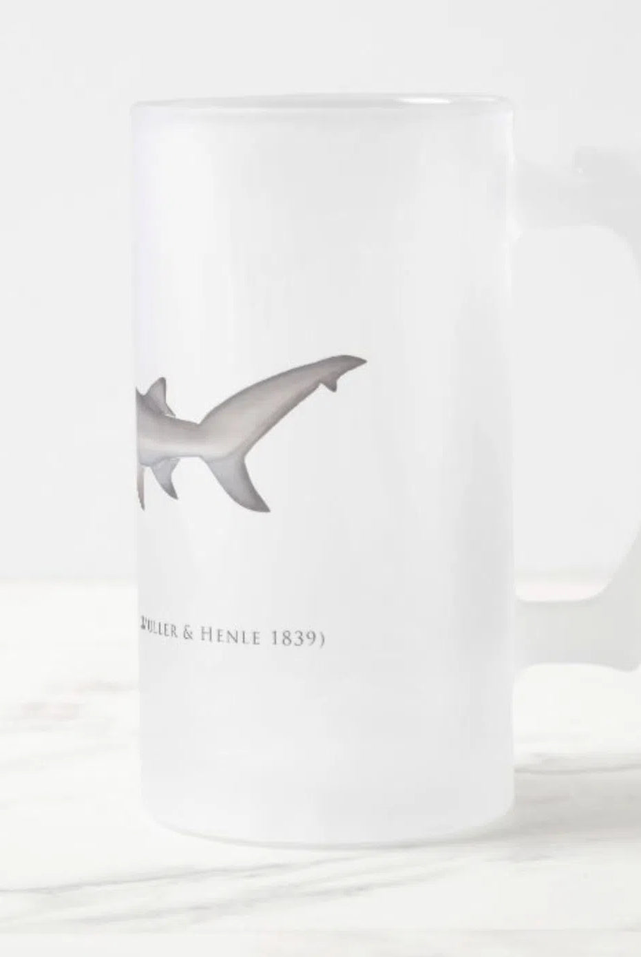 Bull Shark - Frosted Glass Stein-Stick Figure Fish Illustration