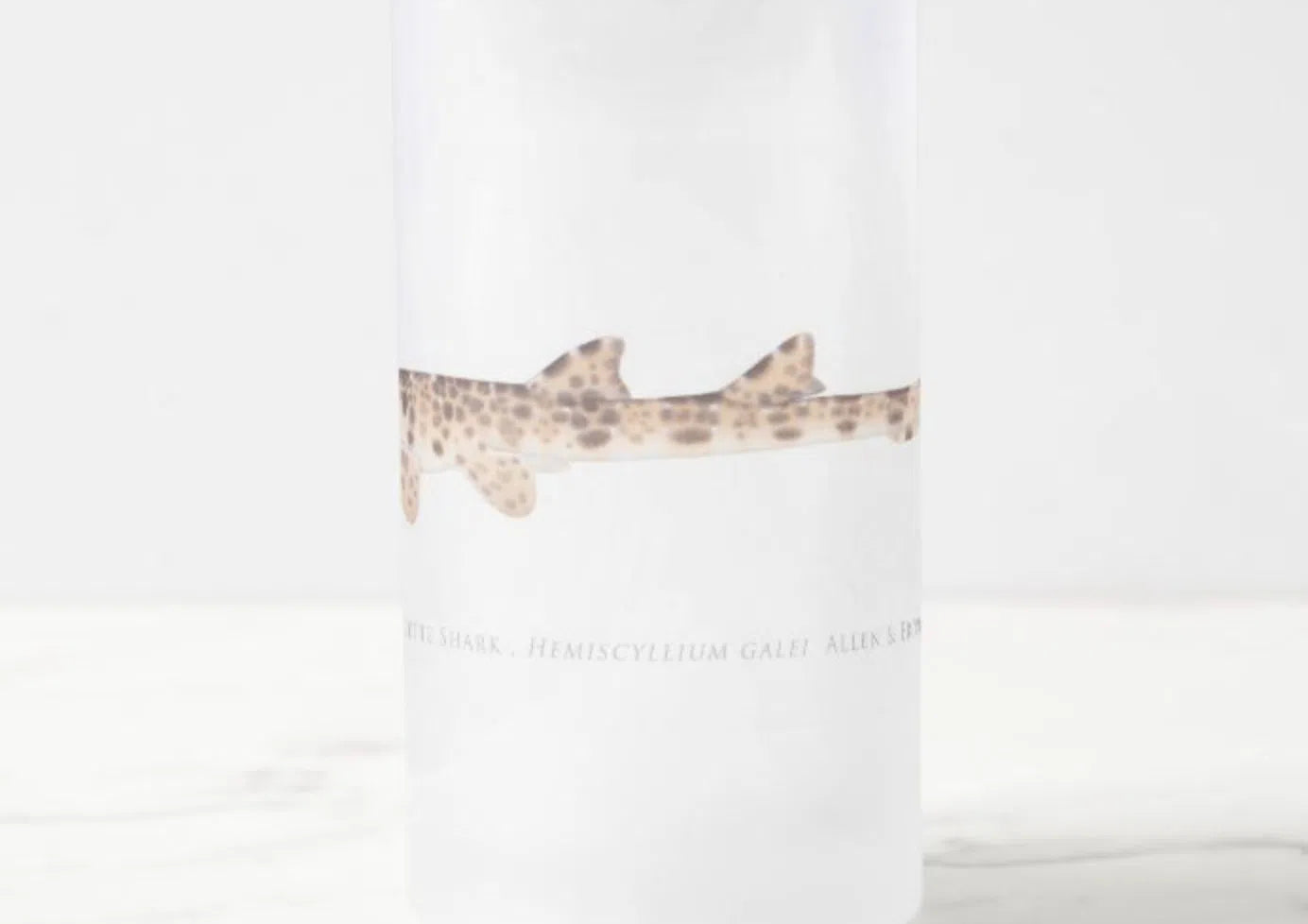 Cenderwasih Epaulette Shark - Frosted Glass Stein-Stick Figure Fish Illustration