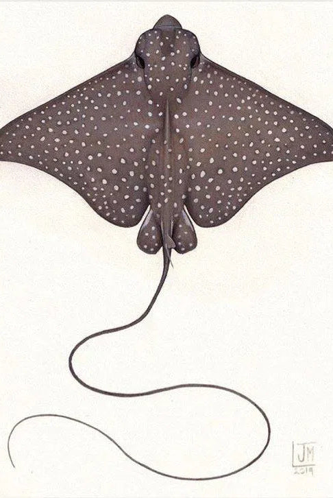 Choose Your Shark Species - Original Painting-Stick Figure Fish Illustration