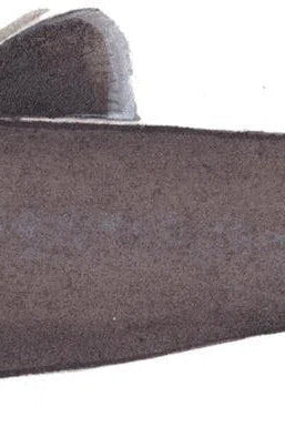 Choose Your Shark Species - Original Painting-Stick Figure Fish Illustration