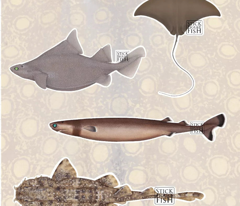 Choose Your Species - Shark and Ray Sticker Sheet-Stick Figure Fish Illustration