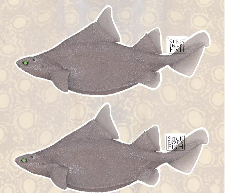 Choose Your Species - Shark and Ray Sticker Sheet-Stick Figure Fish Illustration